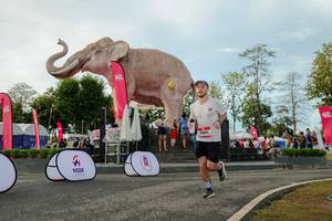 BIB: 
                            <button type="button" onclick="openModal(26529102)" class="btn btn-primary btn-sm float-right btn-popup" data-toggle="modal" data-target=".modal-high-quality">
                        <i class="fas fa-shopping-cart"></i> Add to Cart
                    </button>
                                            <button type="button" onclick="isThisMe(26529102, true)" class="btn btn-success btn-sm float-right btn-popup btn-isme hidden" data-toggle="tooltip" data-placement="bottom" title="นี่คือรูปของคุณใช่ไหม คลิกที่นี่เพื่อเอาเข้าอัลบั้ม">
                        <i class="fas fa-plus"></i> Add to album
                    </button>
                    <button type="button" onclick="isThisMe(26529102, false)" class="btn btn-warning btn-sm float-right btn-popup btn-isnotme hidden">
                        <i class="fas fa-ban"></i> Remove from album
                    </button>